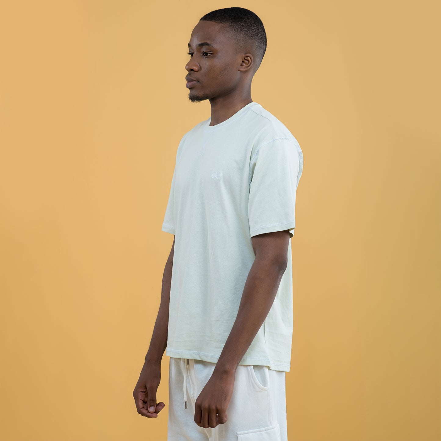Light Mint Green Drop Shoulder T-Shirt for men 